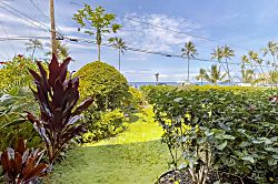 Hale Honu  (Turtle Condo)