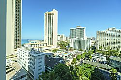 Pacific Monarch (PM04)