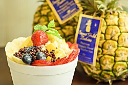 Pacific Monarch (PM04)