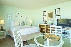 Pacific Monarch (PM04)