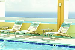 Pacific Monarch (PM04)