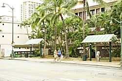 Pacific Monarch (PM04)