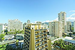 Pacific Monarch (PM04)