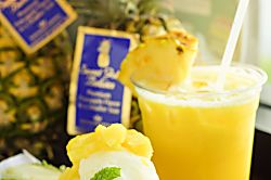 Pacific Monarch (PM04)