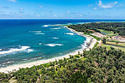 Tropical Turtle Bay Condo Loft 