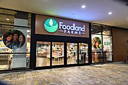 Ala Moana Condominium AH01