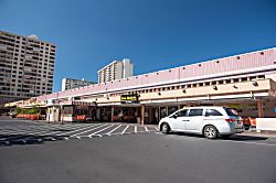 Ala Moana Condominium AH01