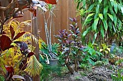 Beachcomber bungalow