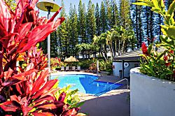 Kapalua Golf Villa KGV-19P2