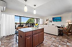 Kona Plaza 201