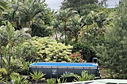 Hale Hale'ai dolphin house