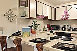 Shady Palms - Lunapule Condo