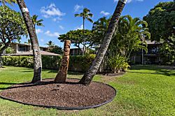 Kihei Garden Estates B-103 - Property grounds