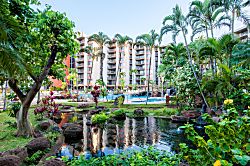 Aston Kaanapali Shores 1G4 - A tranquil pond with stepping stones winds through lush tropical gardens, framed by toweri