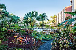 Aston Kaanapali Shores 1Br