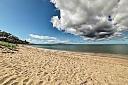 Kihei Garden Estates Garden View