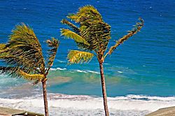 Kapalua Ridge Villas 2422
