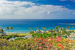 Kapalua Ridge Villas 2214 - Miscellaneous