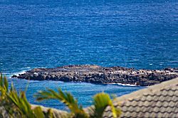 Kapalua Ridge Villas 1512 - There is nothing as soothing as the sight of the peaceful ocean