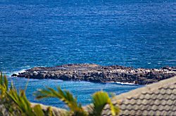 Kapalua Ridge Villas 1512