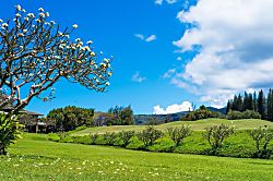 Kapalua Ridge Villas 2511
