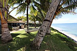 Hale Laule'a - Our front grass, with hammock, lounge chairs, lanai and miles of ocean views!