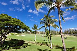 L22 Waikoloa Beach Villas