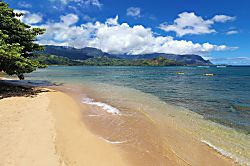 Hanalei Bay Resort 9101,2,3