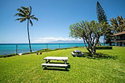 Polynesian Shores 112