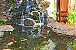 Waikiki Banyan #3601-T1