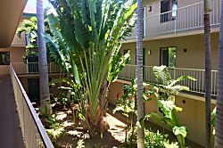 Pacific Shores Condo