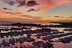 Ilikai Marina Condo 1313