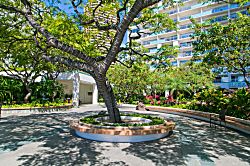 Ilikai Hotel 940, Lagoon View