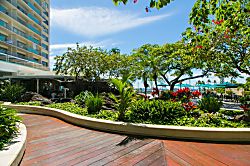 Ilikai Hotel 14th Floor Condo