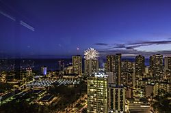 Hawaiian Monarch (PH402)