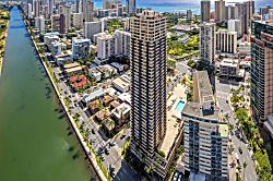 Hawaiian Monarch (PH402)