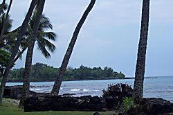 Kona Bali Kai Unit #326