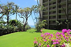 Oceanfront Valley Isle 307