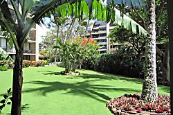 Oceanfront Valley Isle 307