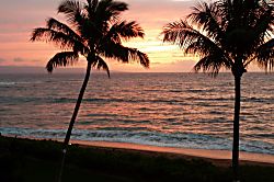 Oceanfront Valley Isle 307