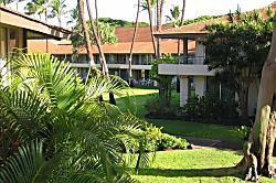 Maui Kaanapali Villas Banyan 242