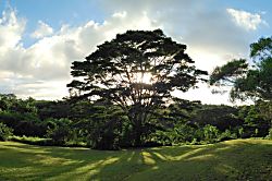 Mana Aina Private Studio Retreat