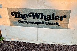The Whaler 264