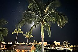 Kaanapali Royal J303 Oceanview