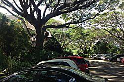 Waikomo Stream Villa 401 - Free off-street shaded parking. Huge 150 yr.old + Monkey pod tre - Free off-street shaded