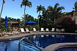 Waikomo Stream Villa 401