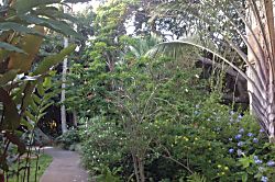 Waikomo Stream Villa 401 - Walkway from 401 to back BBQ and Ho?onani road to view SUNSET - Walkway from 401 to back B