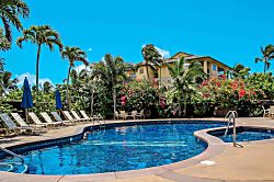 Waikomo Stream Villa 401