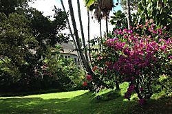 Waikomo Stream Villa 401 - Large grass, flowers, coconut palms by bldg. 400 in the backgrou - Large grass, flowers, c