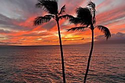 Kulakane Resort 111 The Turtle House